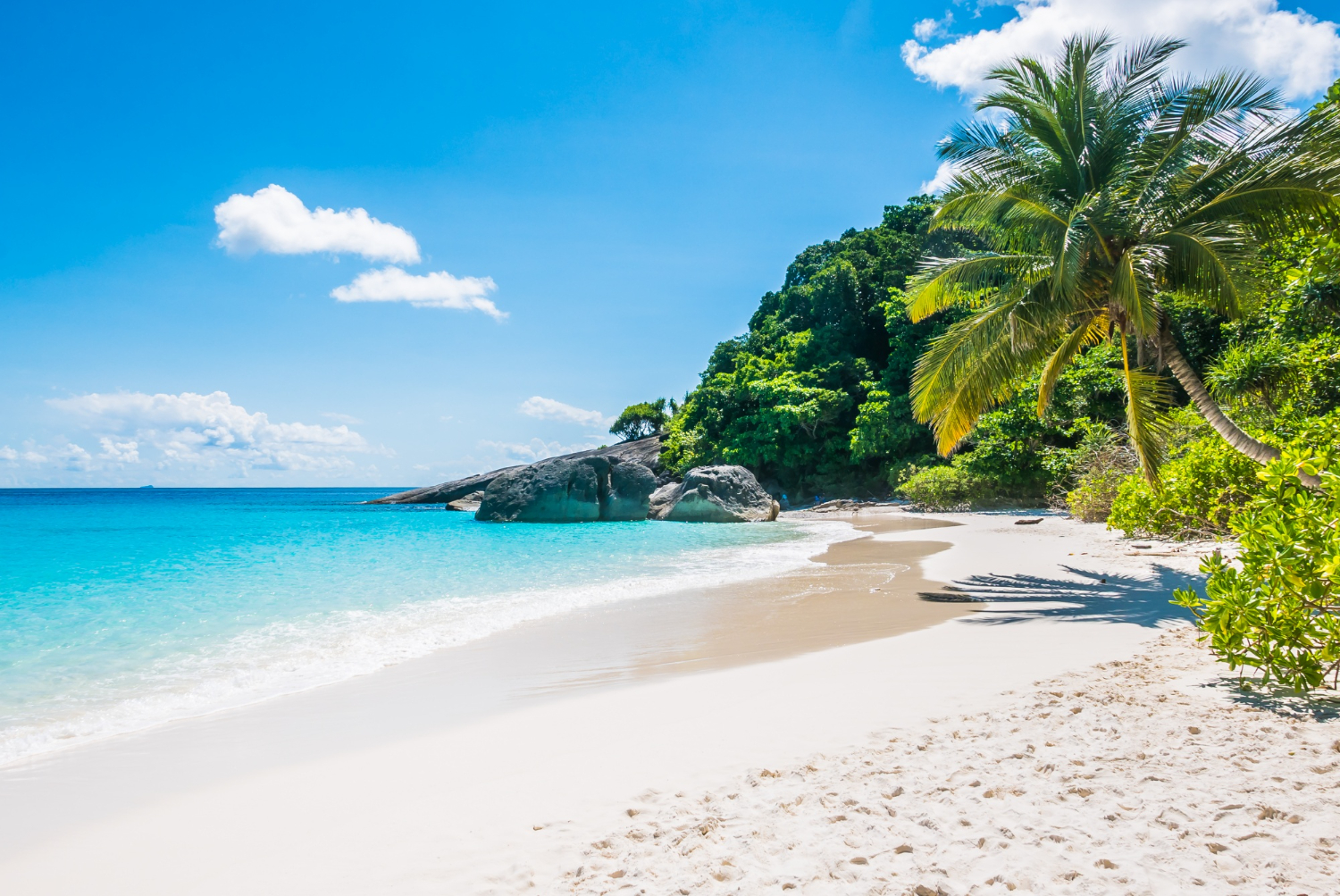 Beautiful tropical beach paradise